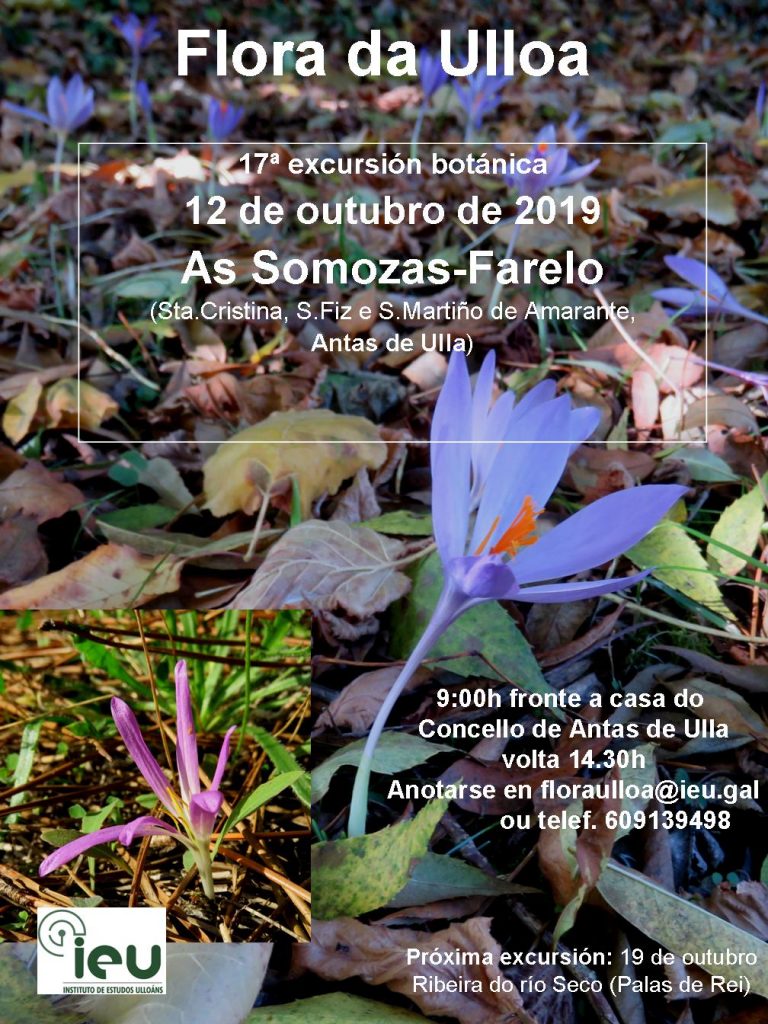17ª excursión Farelo, Instituto de Estudos Ulloáns IEU, Proxecto Flora da Ulloa