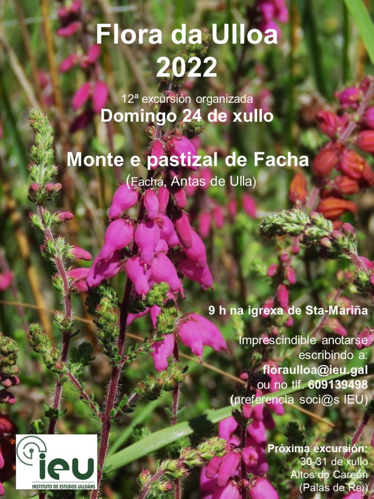 Excursión Flora da Ulloa 12ª-2022, Monte e pastizal de Facha, Instituto de Estudos Ulloáns IEU