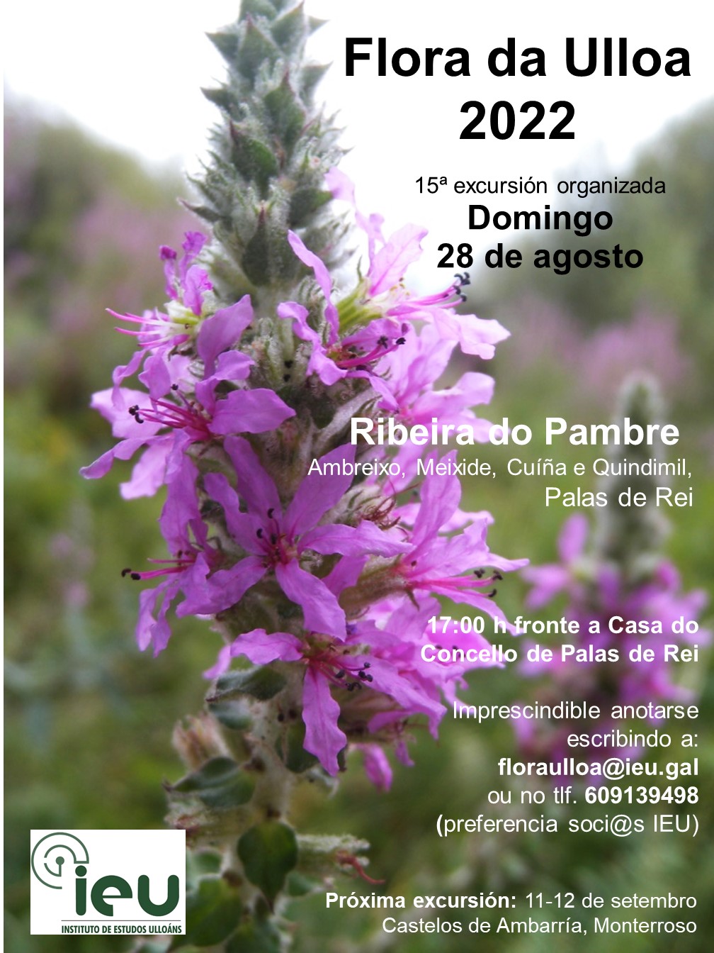 Excursión Flora da Ulloa 15ª-2022, Ribeira do Pambre, Instituto de Estudos Ulloáns IEU