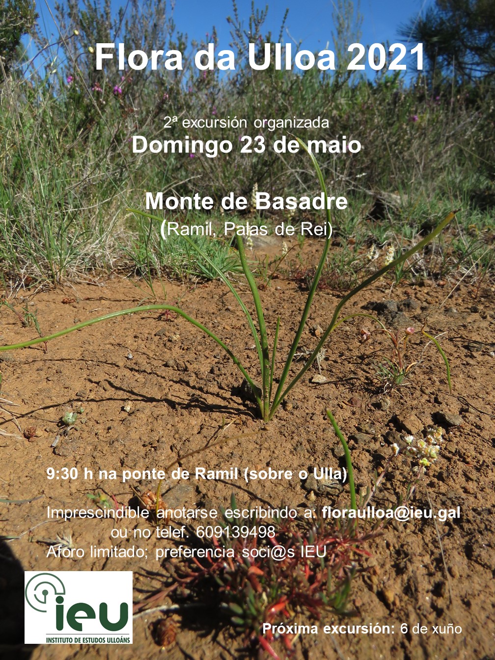 Excursión Flora da Ulloa 2-21, Monte Basadre, Instituto de Estudos Ulloáns