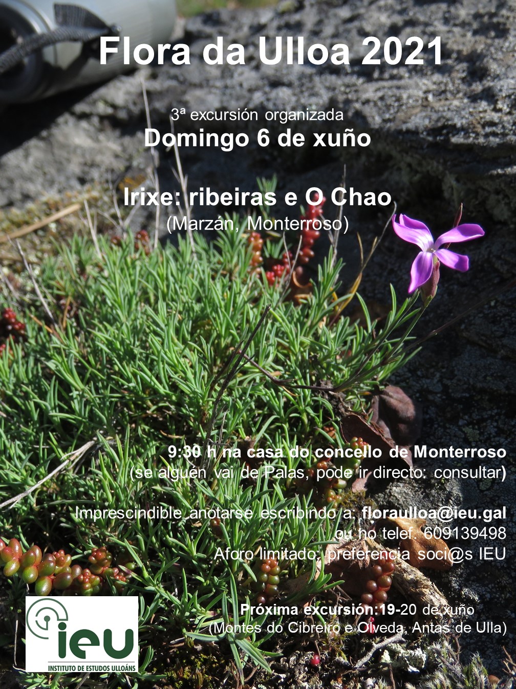 Excursión Flora da Ulloa 3-21, Irixe, Instituto de Estudos Ulloáns