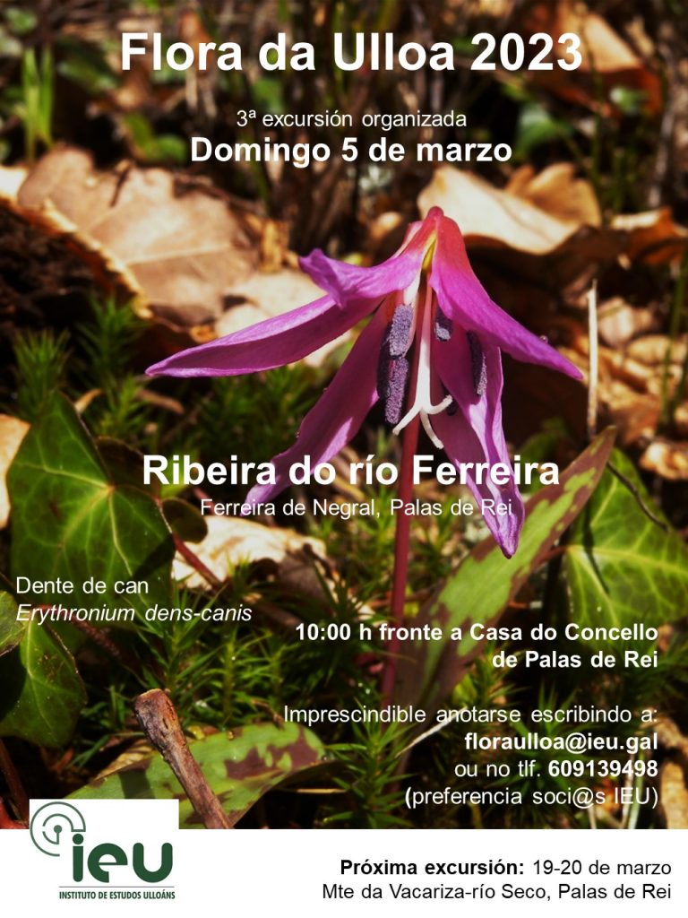 Excursión Flora da Ulloa 3ª 2023, 5-3-2023, ribeira do río Ferreira, Instituto de Estudos Ulloáns