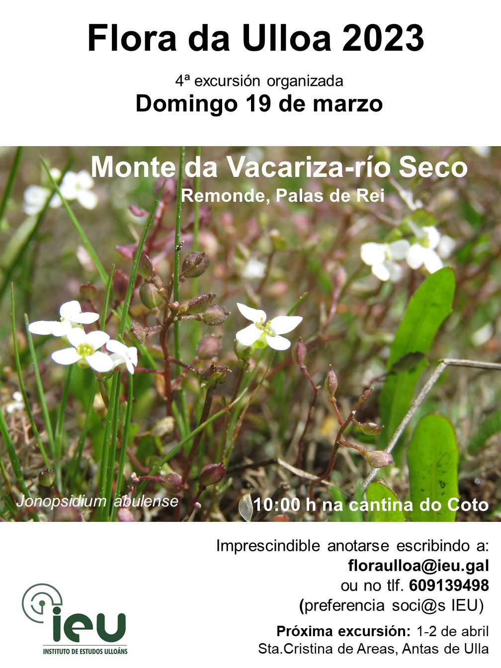 Excursión Flora da Ulloa 4ª 2023, 19-3-2023, Monte da Vacariza, Instituto de Estudos Ulloáns Vacariza
