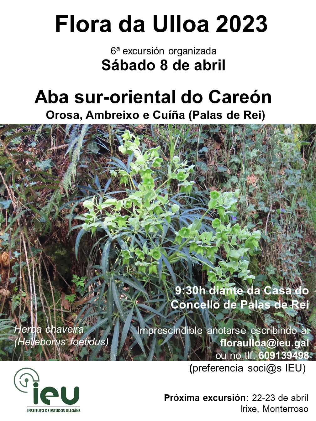 Excursión Flora da Ulloa 6ª 2023, 8-4-2023, Careón Sur-oriental, Instituto de Estudos Ulloáns