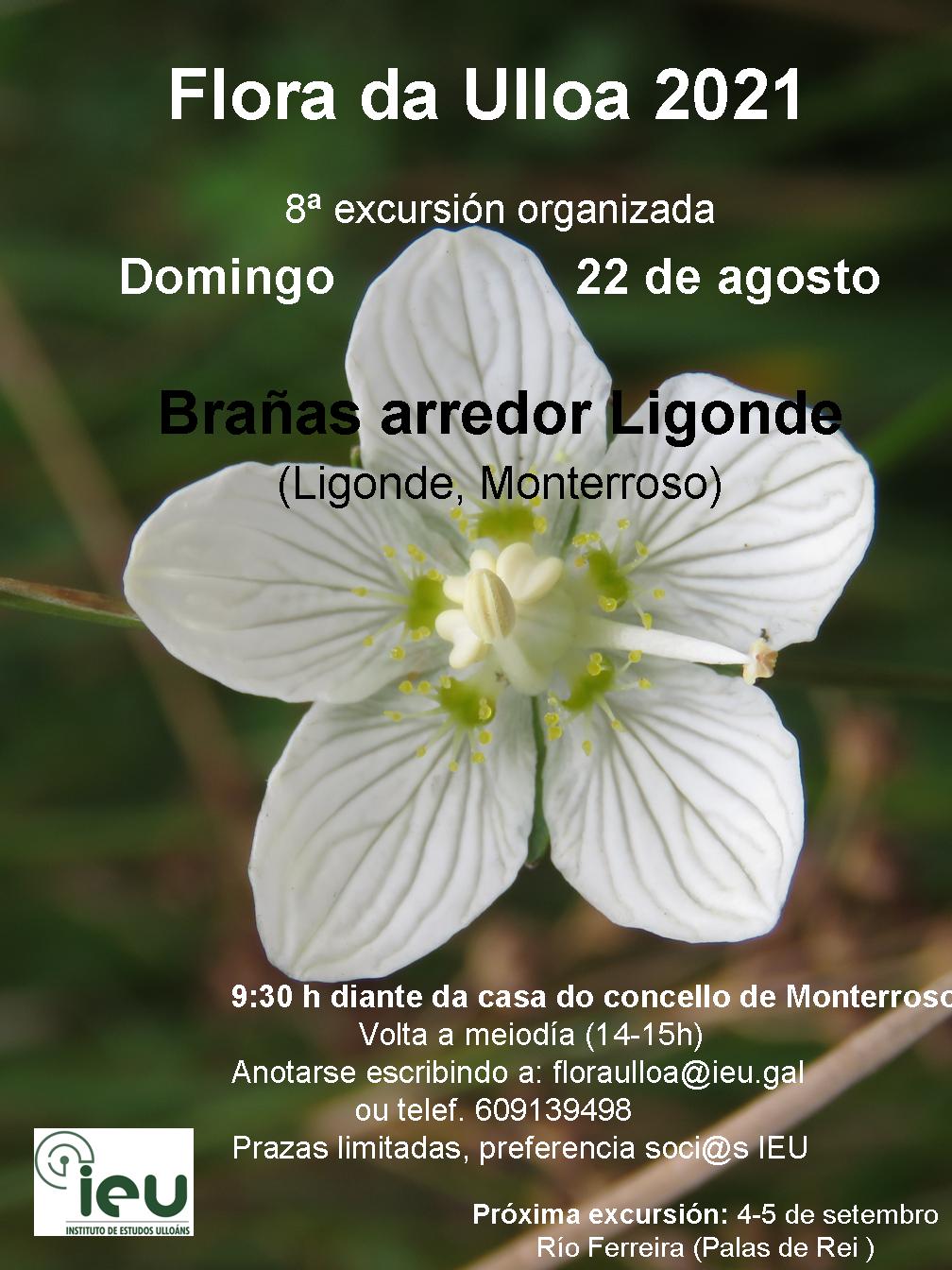 Excursión Flora da Ulloa 8ª-2021 Ligonde, Instituto de Estudos Ulloáns