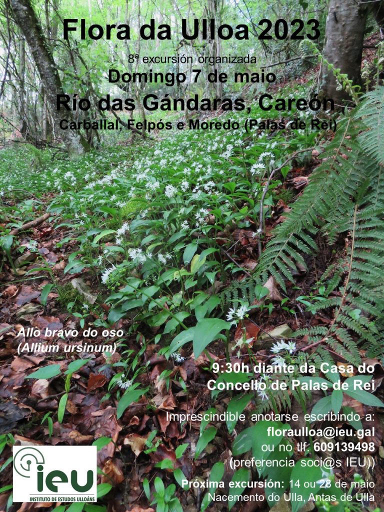 Excursión Flora da Ulloa 8ª 2023, 7-5-2023, As Gándaras e Careón, Instituto de Estudos Ulloáns