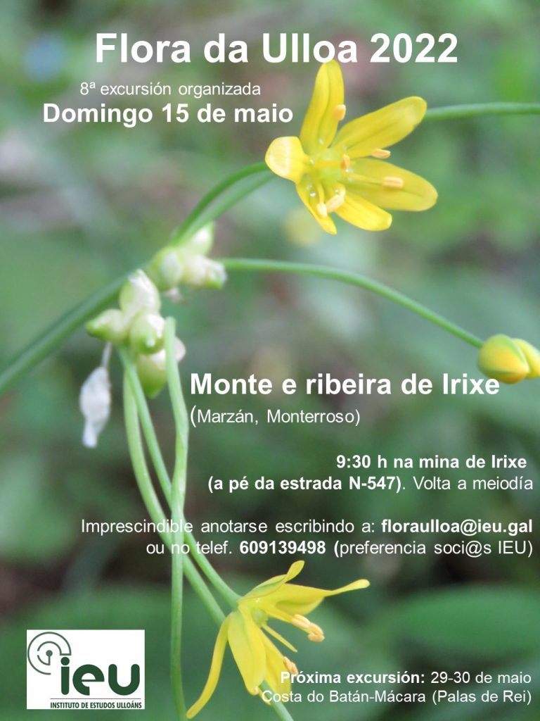 Excursións Flora da Ulloa 8ª-2022, Monte e ribeira de Irixe, Instituto de Estudos Ulloáns, IEU