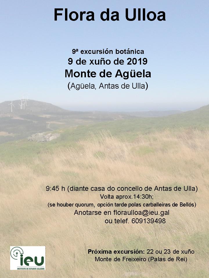 9ªexcur.botánica Monte Agüela, Flora da Ulloa, Instituto de Estudos Ulloáns, IEU