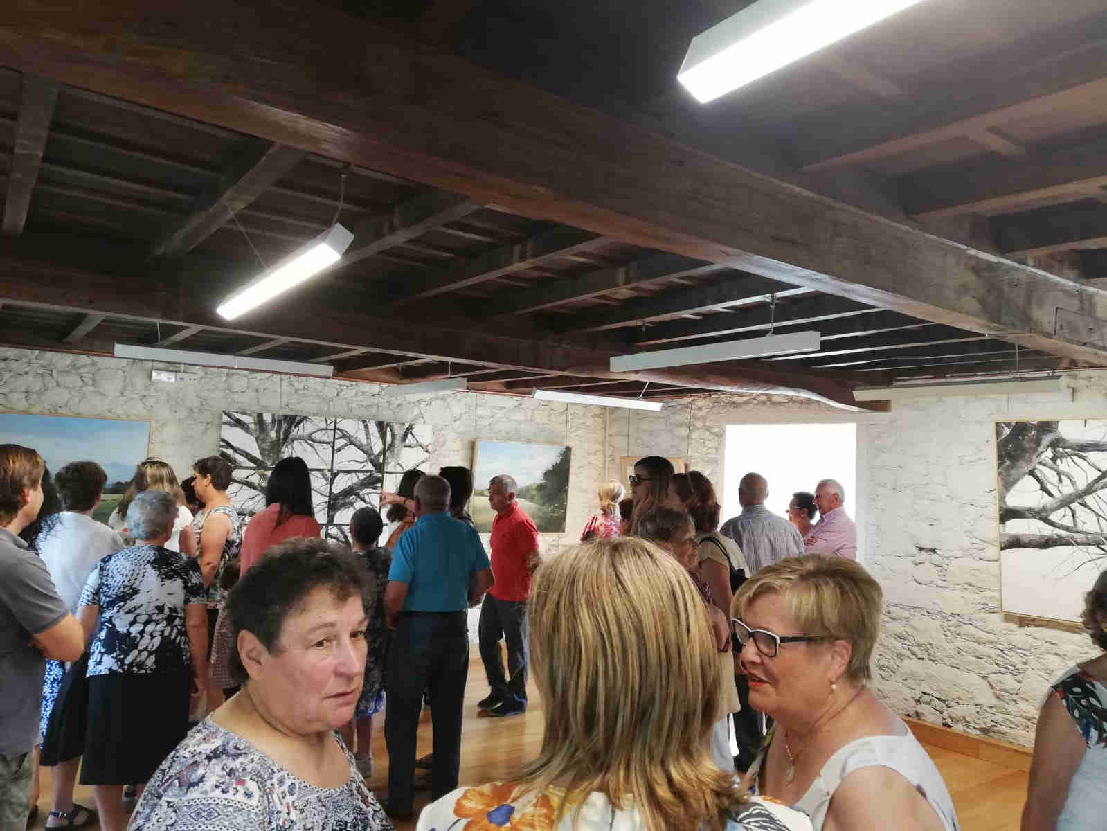 80 exposición J M Méndez, castelo de Pambre, Instituto de Estudos Ulloáns
