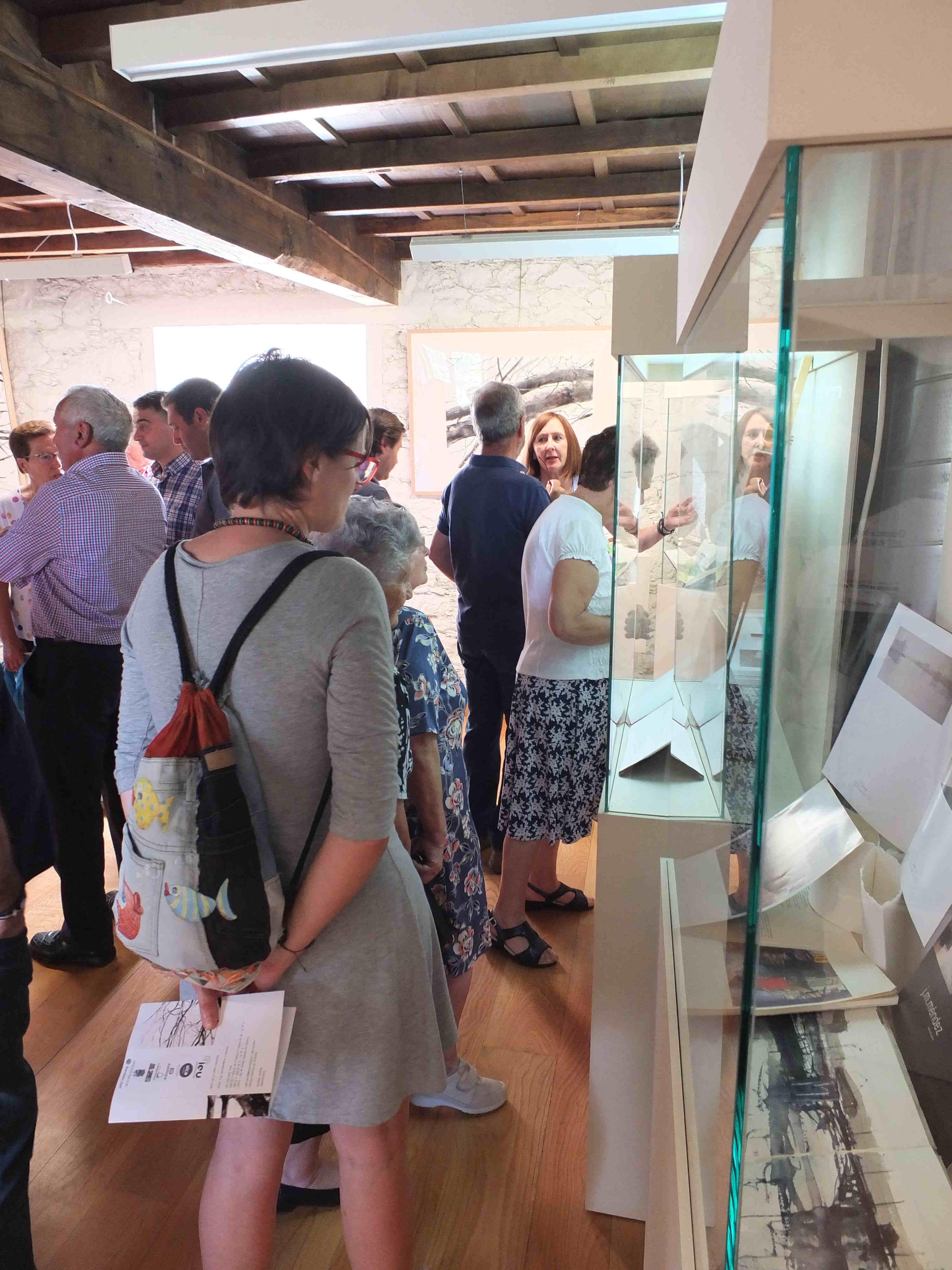 90 exposición J M Méndez, castelo de Pambre, Instituto de Estudos Ulloáns