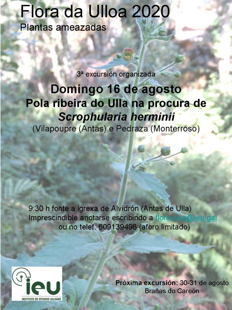Excursión Flora da Ulloa 3-2020, Ribeira do Ulla na procura de Scrophularia herminii, Instituto de Estudos Ulloáns