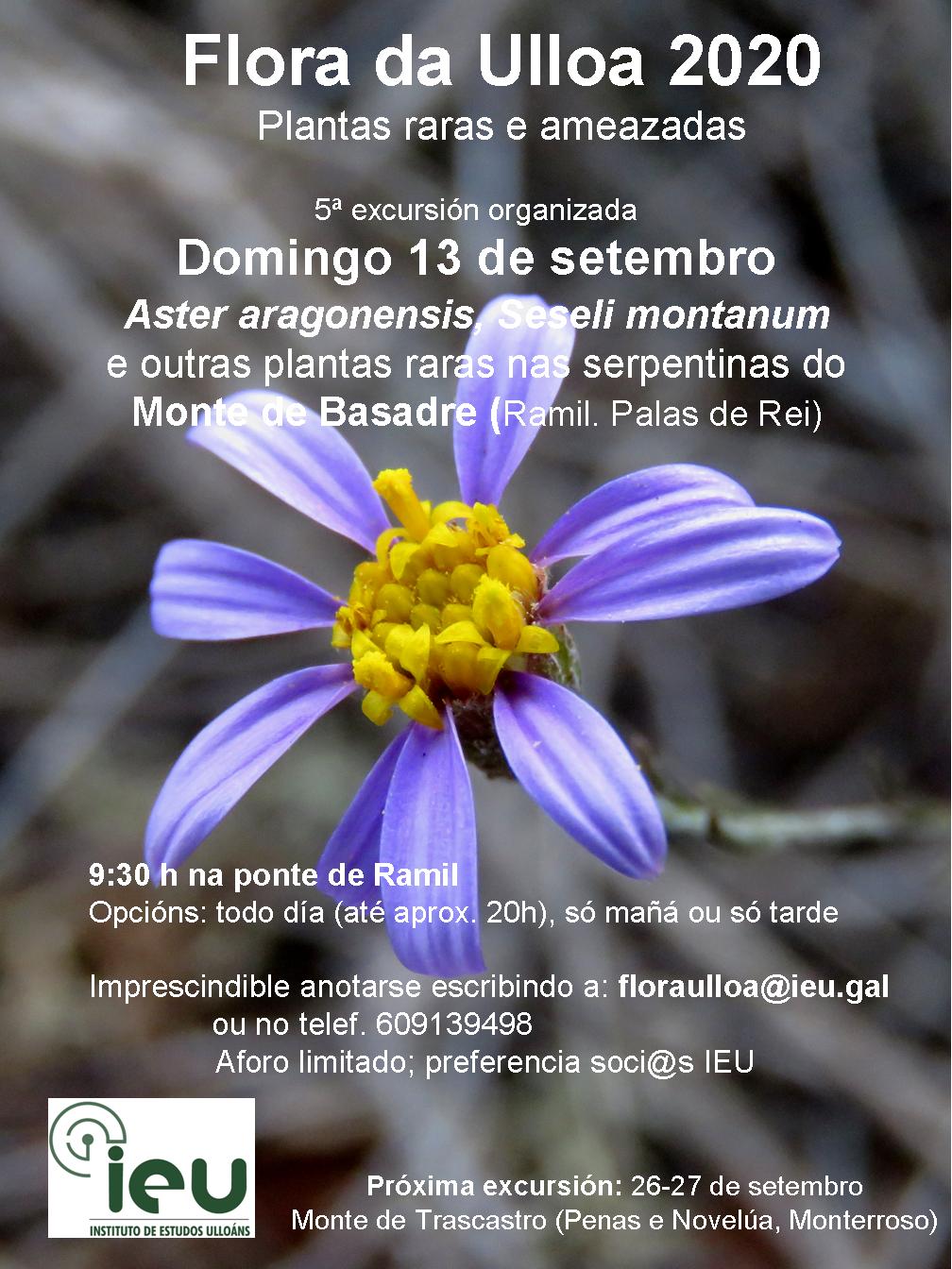 Excursión Flora da Ulloa 05-20 Monte de Basadre, Instituto de Estudos Ulloáns, IEU
