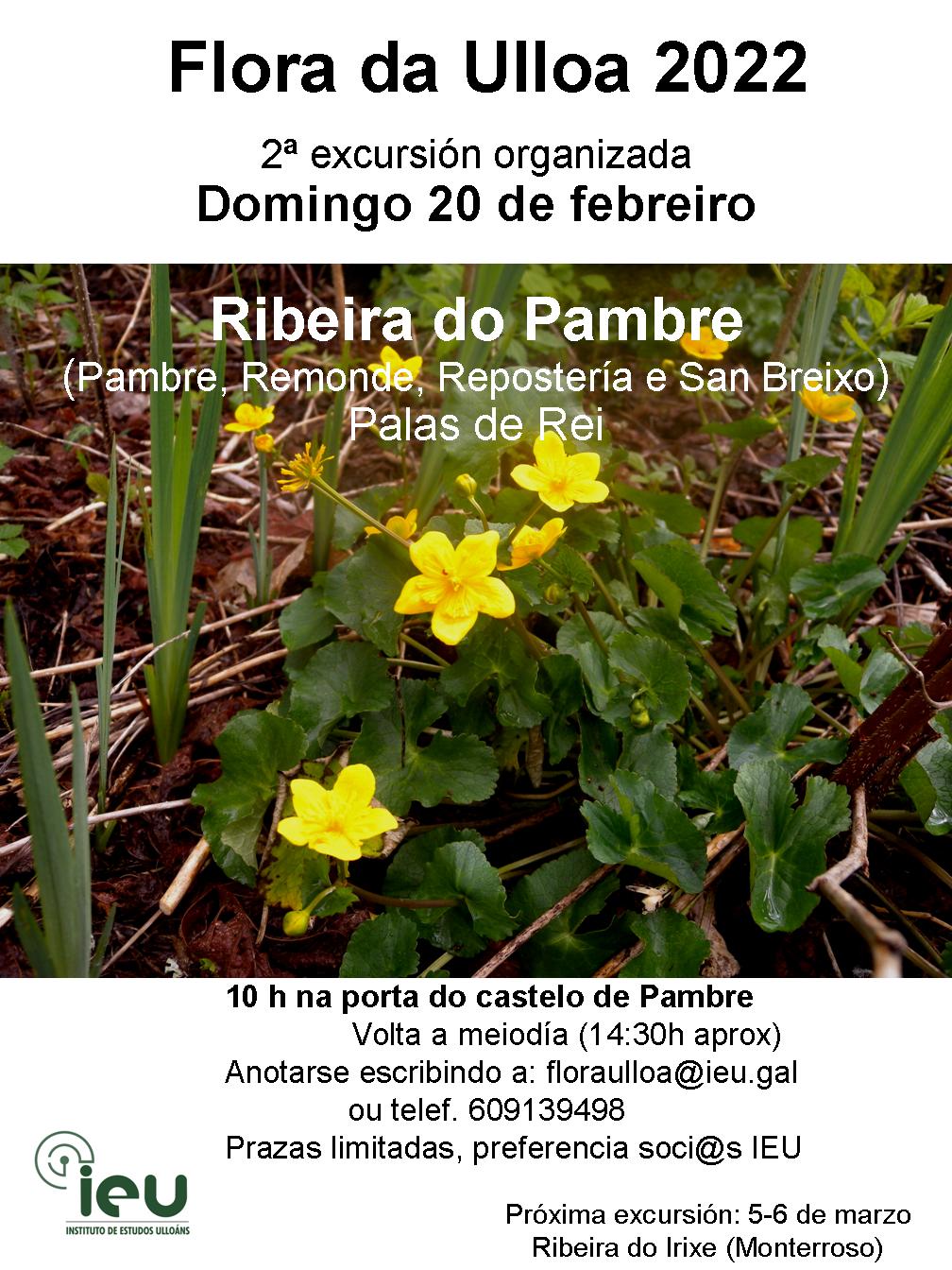 Excursión Flora da Ulloa 2ª-2022, Ribeira do Pambre, Instituto de Estudos Ulloáns, IEU