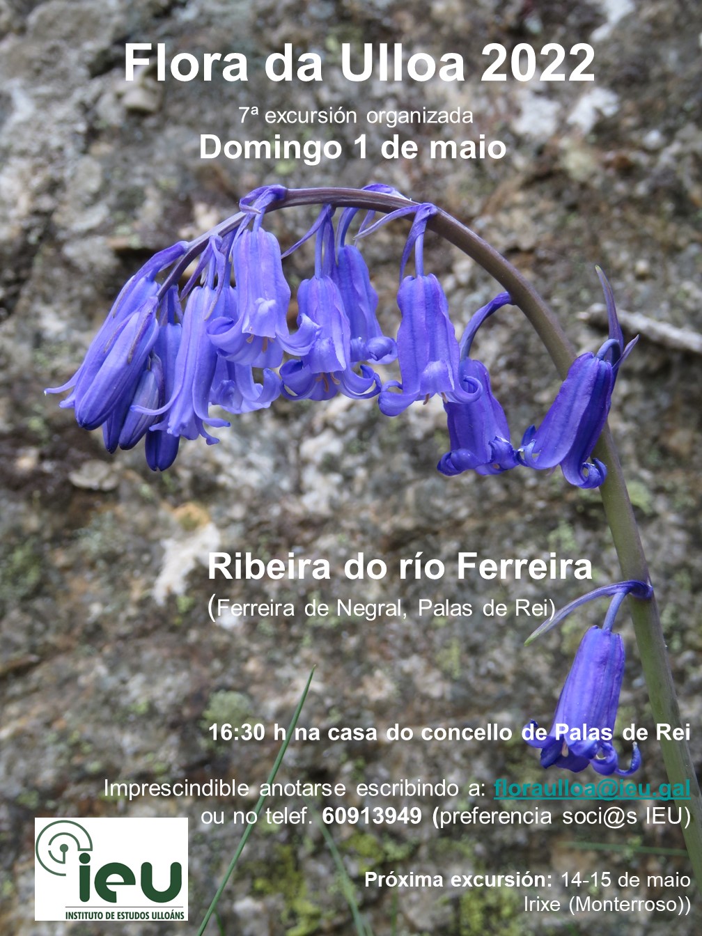 Excursións Flora da Ulloa 7ª-2022, Ribeira do río Ferreira, Instituto de Estudos Ulloáns