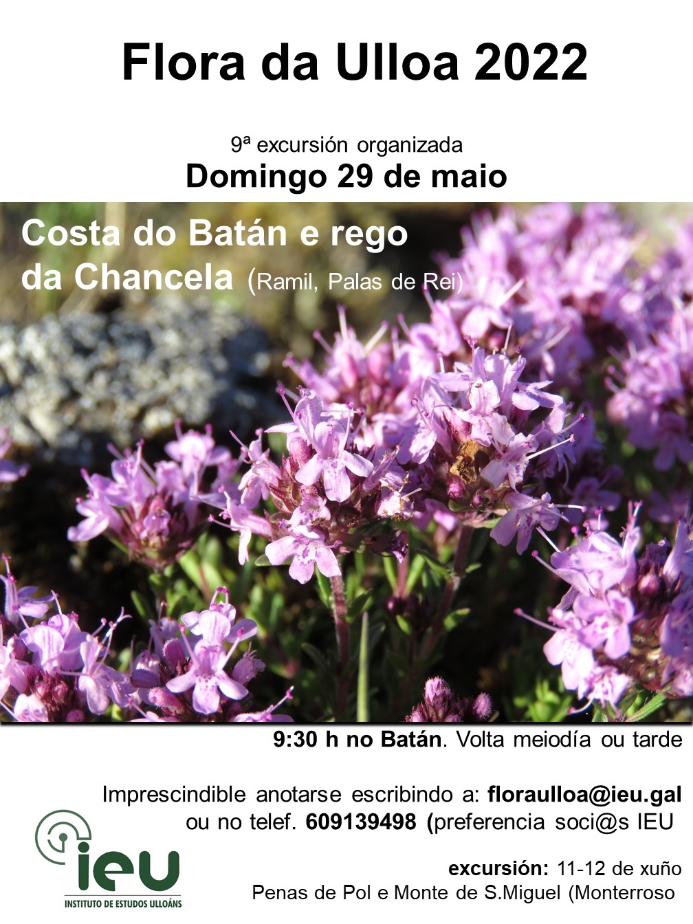 Excursión Flora da Ulloa 9ª-2022, Costa do Batán e Rego da Chancela