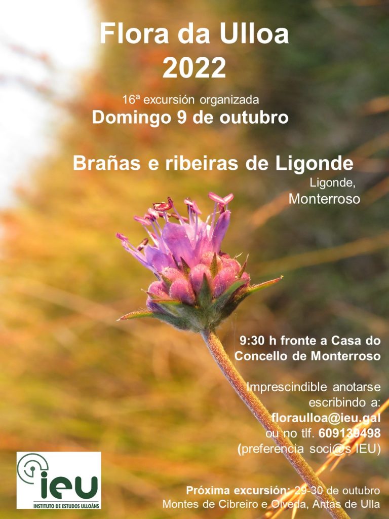 Excursión Flora da Ulloa 16ª-2022, Brañas e ribeiras de Ligonde, Instituto de Estudos Ulloáns IEU