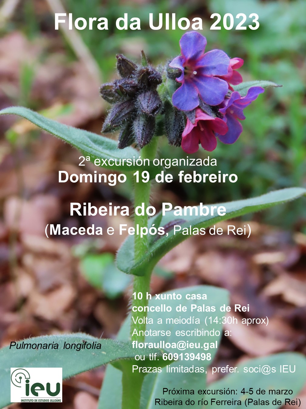 Excursión Flora da Ulloa 2ª 2023, Ribeira do Pambre, Maceda 19-3-2023