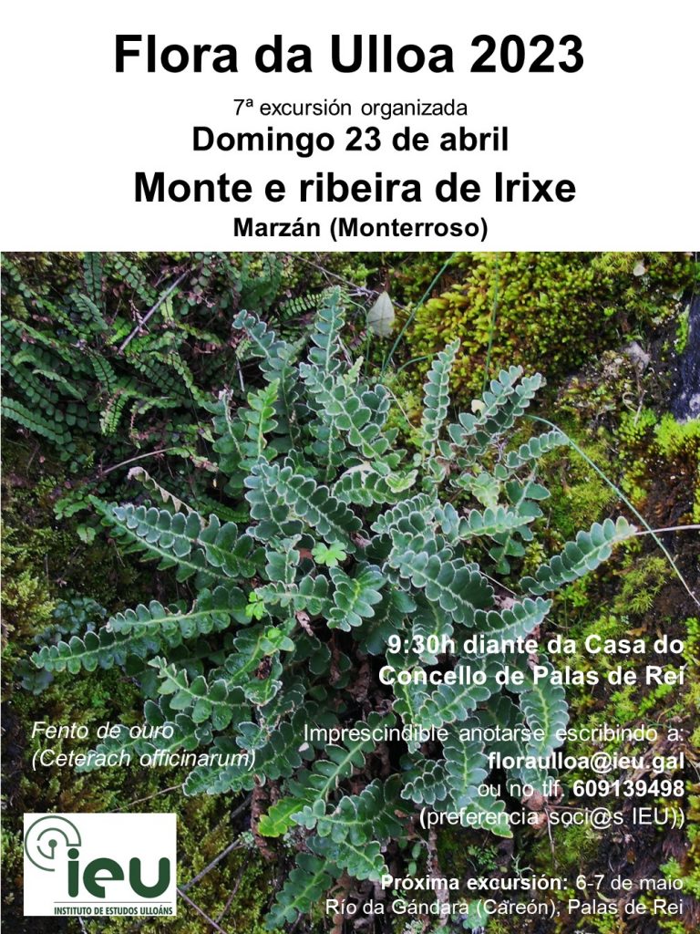 Excursión Flora da Ulloa 7ª-2023 Monte e ribeira de Irixe 23-4-2023, Instituto de Estudos Ulloáns