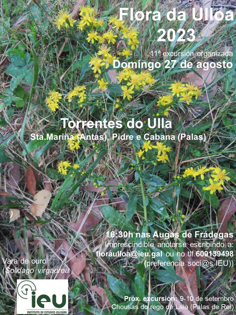 Excursión Flora da Ulloa 11ª 2023, 27-8-2023, Torrentes do Ulla, Instituto de Estudos Ulloáns