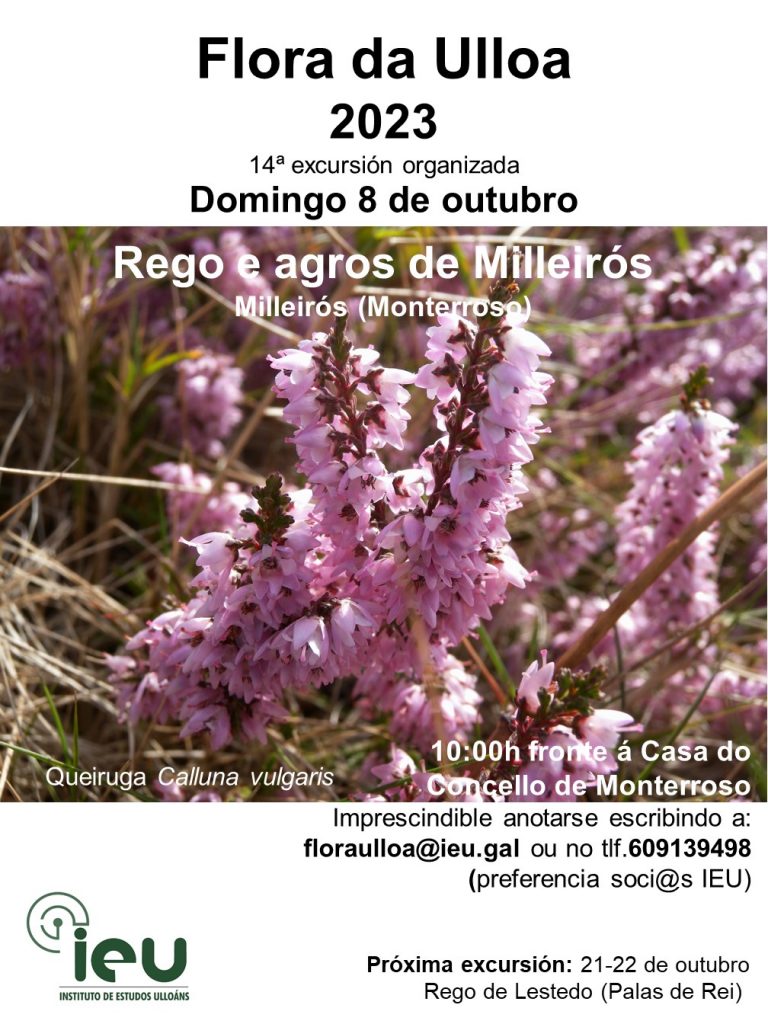 Excursión Flora da Ulloa 14ª 2023, 8-10-2023, Milleirós (Monterroso), Instituto de Estudos Ulloáns